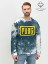 Мужской свитшот базовый / PUBG BW