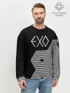 Мужской свитшот базовый / EXO
