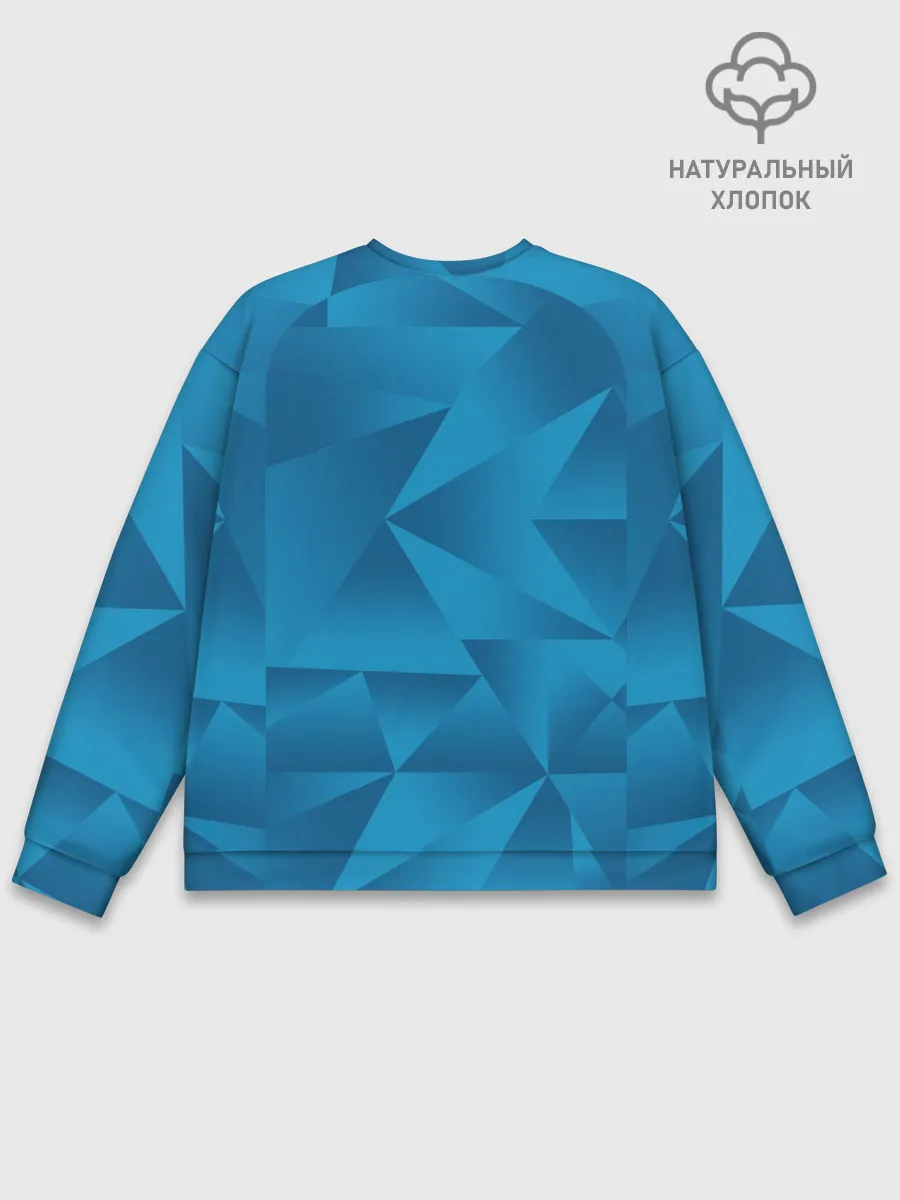 Мужской свитшот базовый / FCZP home kit