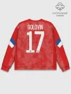 Мужской свитшот базовый / Golovin home EURO 2020
