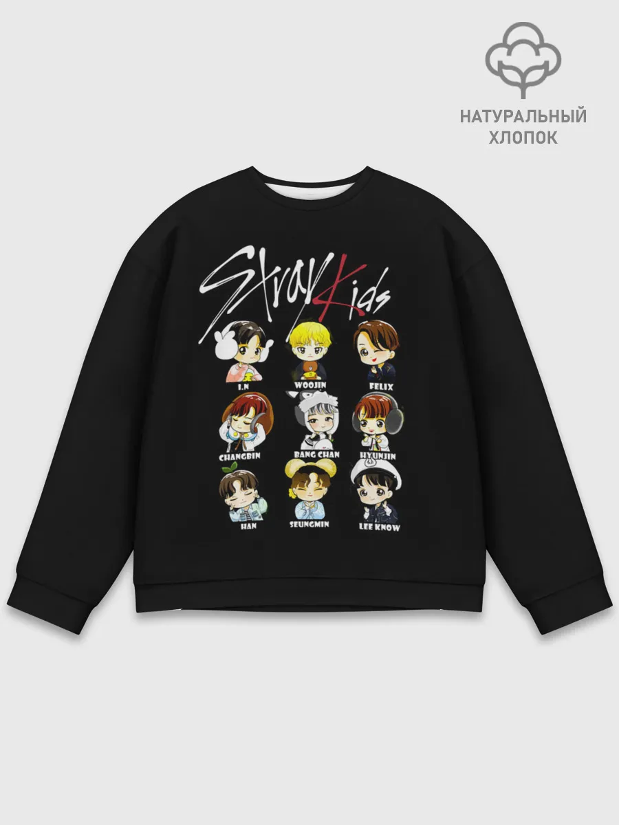 Мужской свитшот базовый / Stray Kids