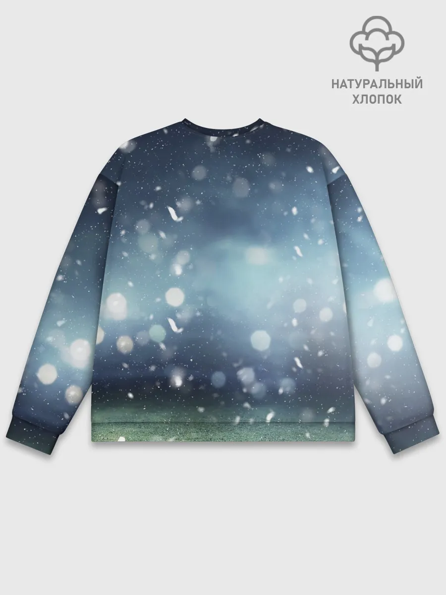 Мужской свитшот базовый / Лео Месси