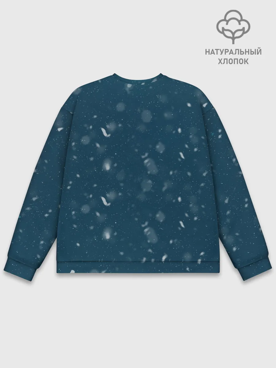 Мужской свитшот базовый / Дибала Аргентина