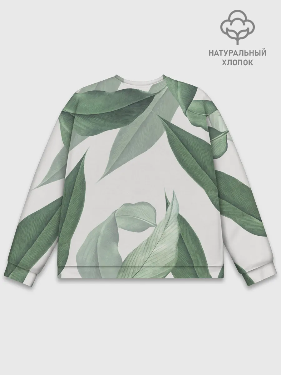 Мужской свитшот базовый / Из тропиков