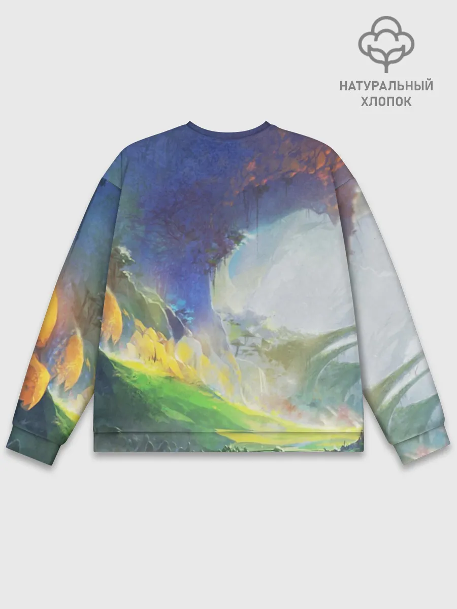 Мужской свитшот базовый / Zoomorph PW