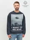 Мужской свитшот базовый / I want to believe