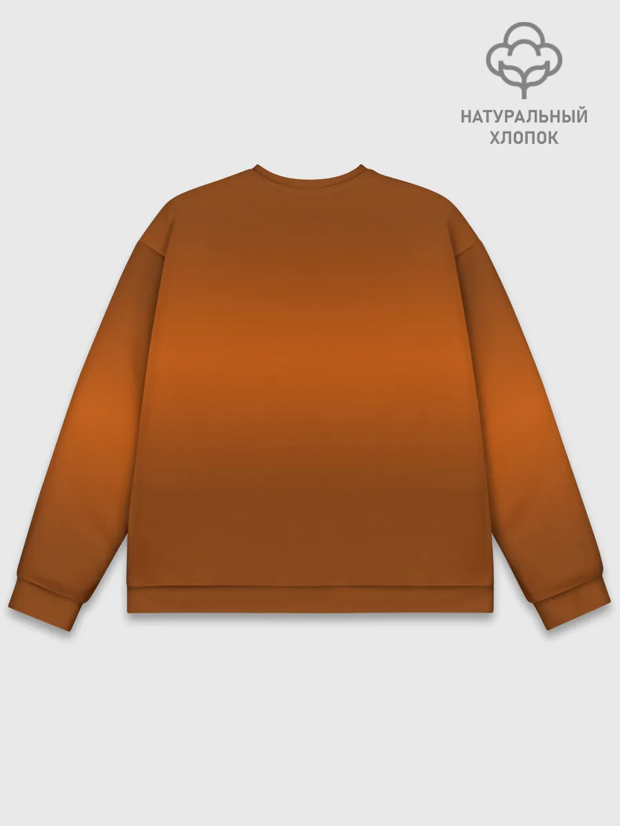 Мужской свитшот базовый / Leo