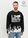 Мужской свитшот базовый / Limp Bizkit