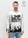 Мужской свитшот базовый / Limp Bizkit