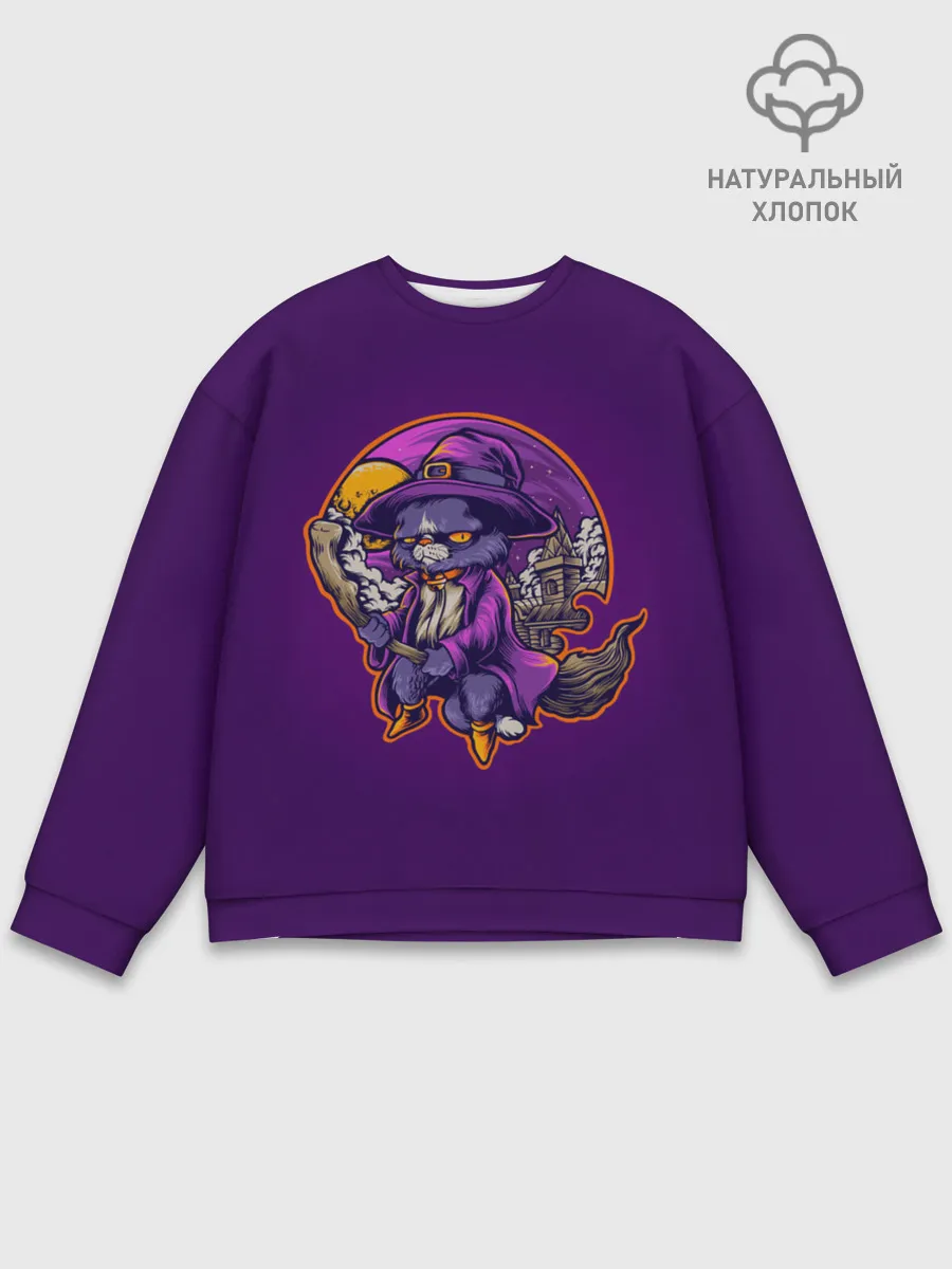 Мужской свитшот базовый / Кот