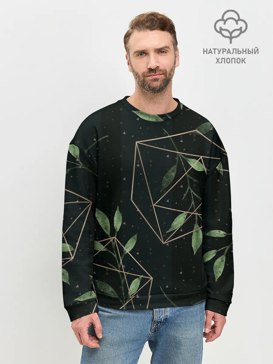 Мужской свитшот базовый / Геометрия в природе
