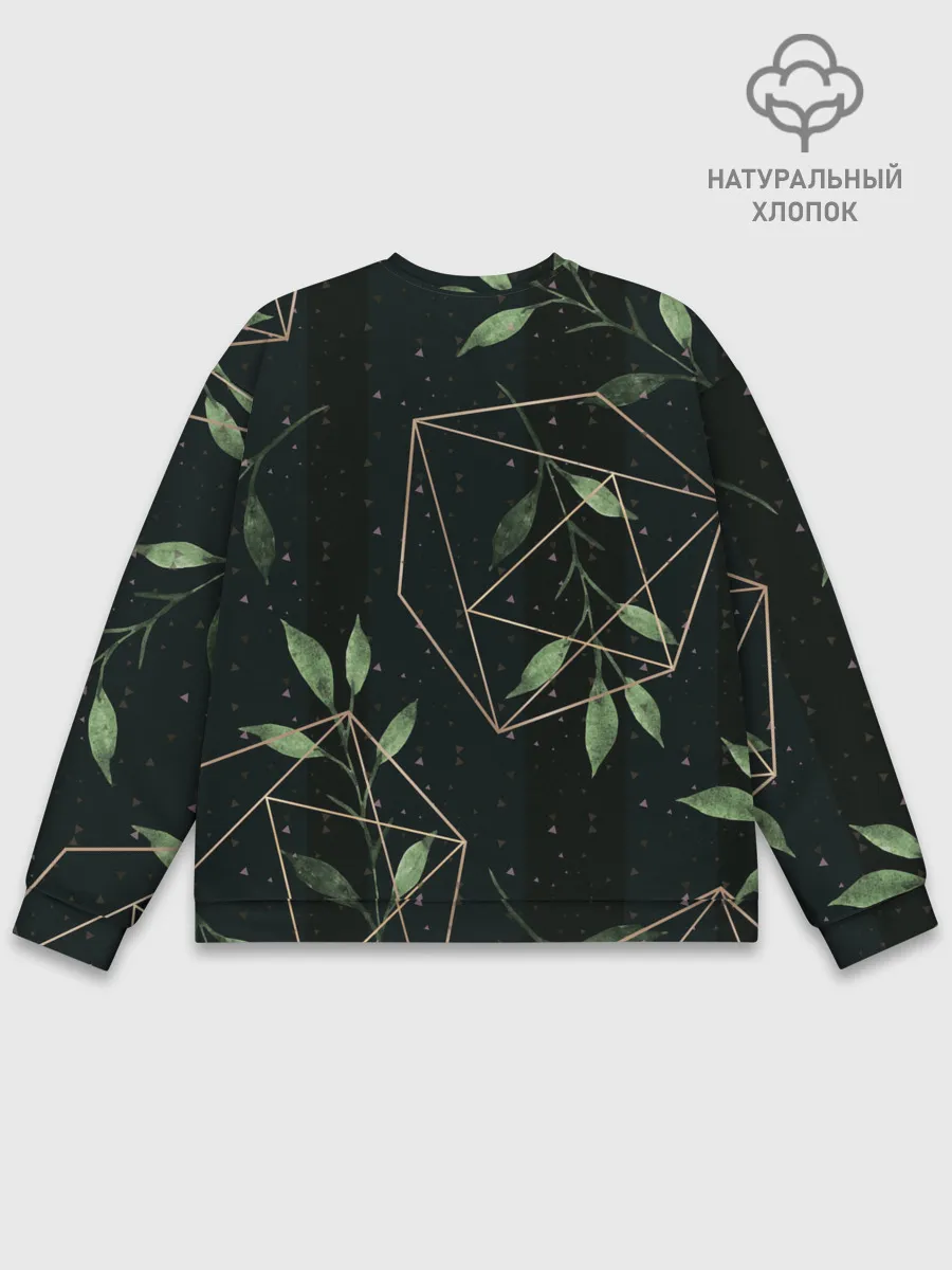 Мужской свитшот базовый / Геометрия в природе