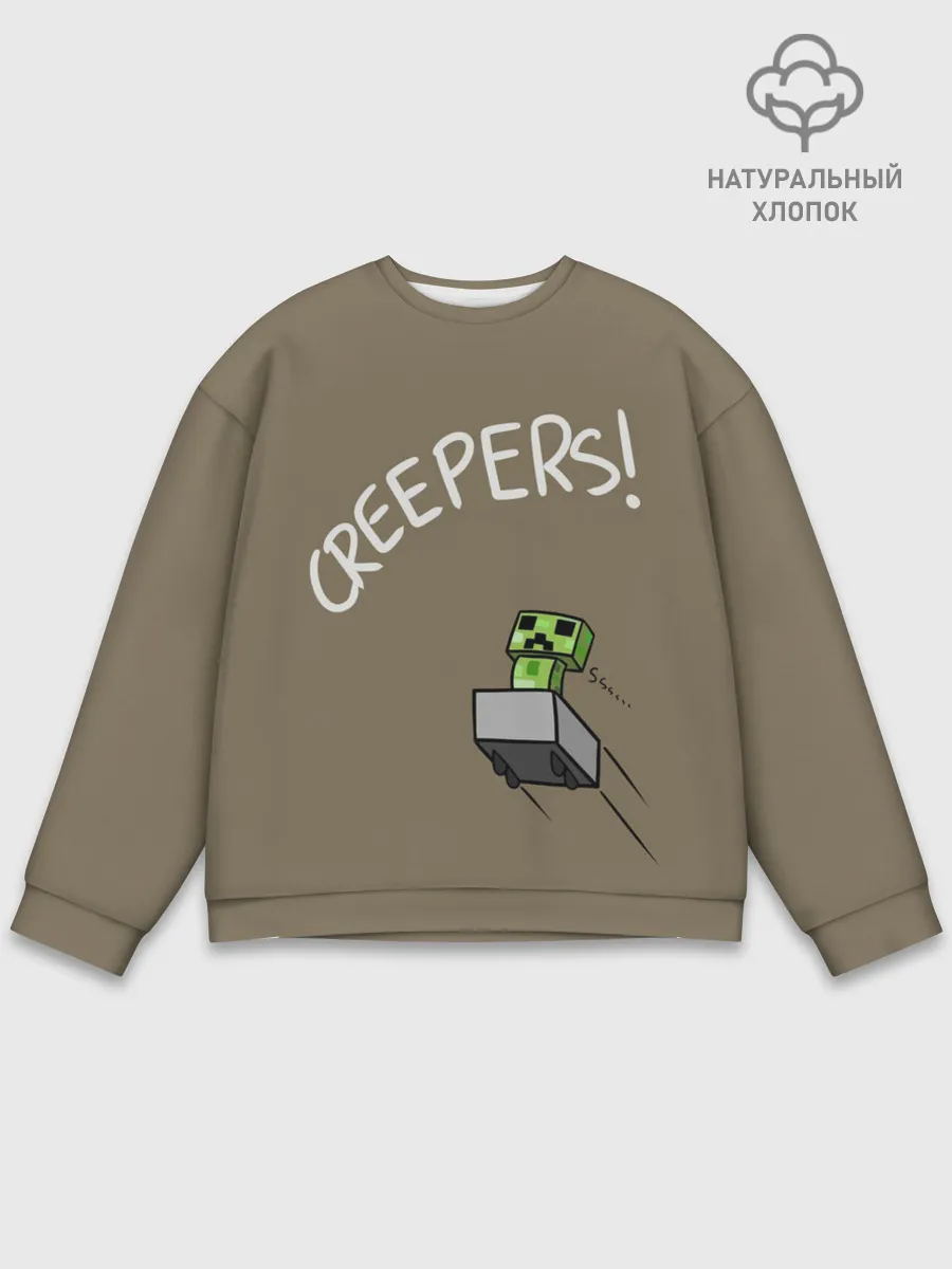 Мужской свитшот базовый / MINECRAFT