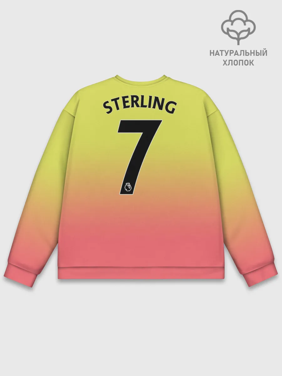 Мужской свитшот базовый / Sterling third 19-20