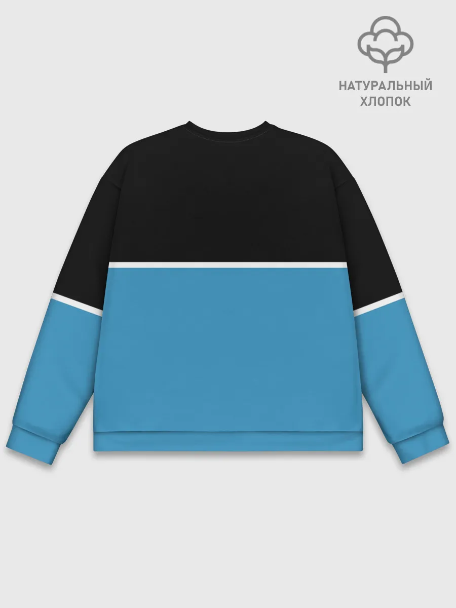 Мужской свитшот базовый / BMW / БМВ