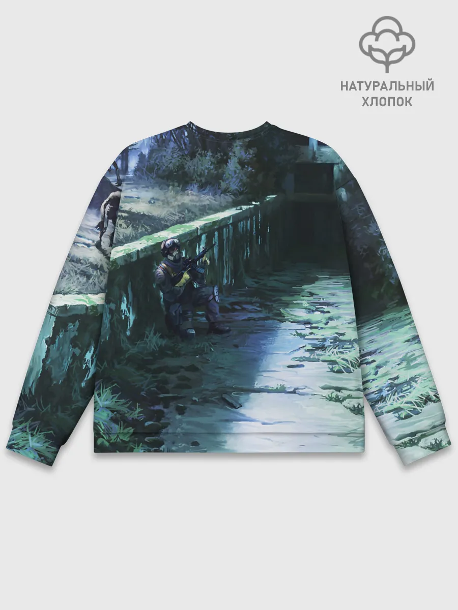 Мужской свитшот базовый / Сталкер 2021