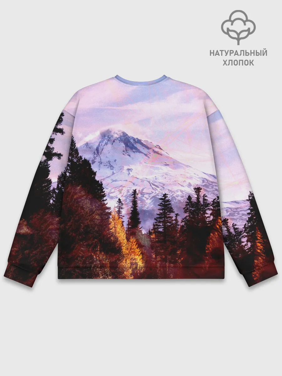 Мужской свитшот базовый / Из России с любовью