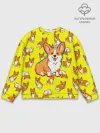 Мужской свитшот базовый / Corgi
