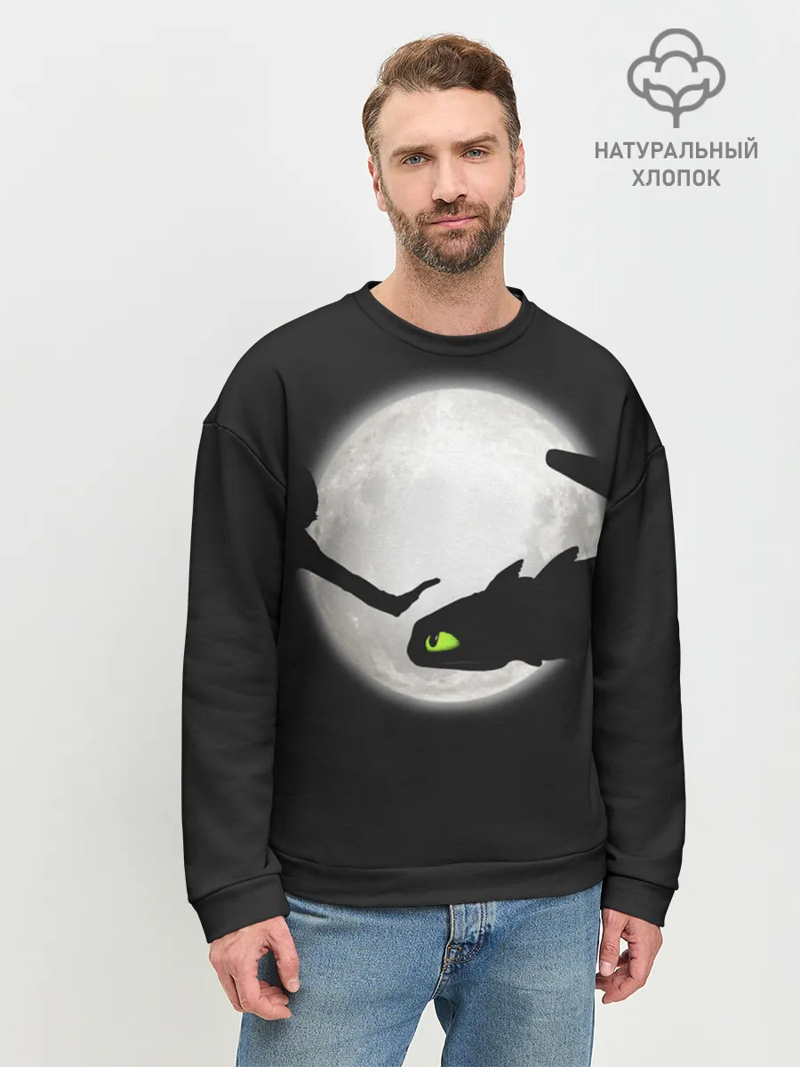 Мужской свитшот базовый / Как приручить дракона