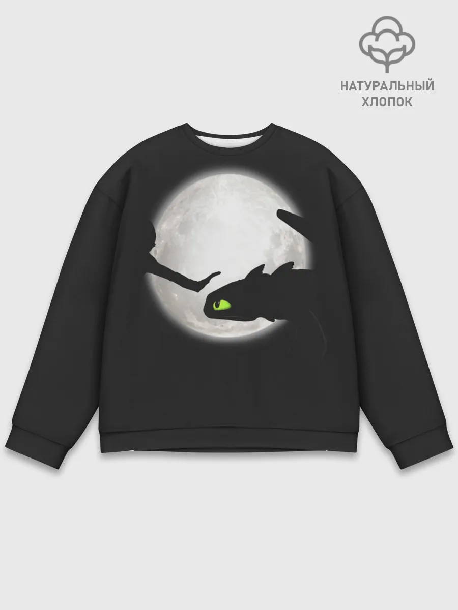 Мужской свитшот базовый / Как приручить дракона