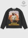 Мужской свитшот базовый / PUBG
