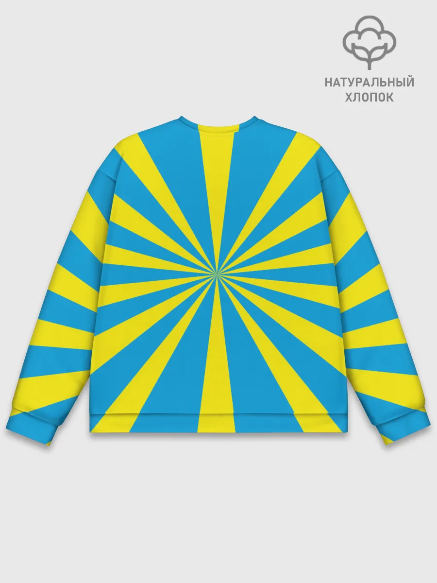 Мужской свитшот базовый / ВВС России