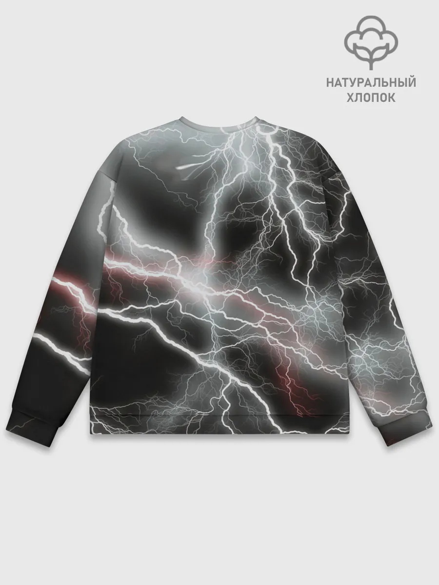 Мужской свитшот базовый / молния