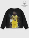 Мужской свитшот базовый / Леброн Джеймс