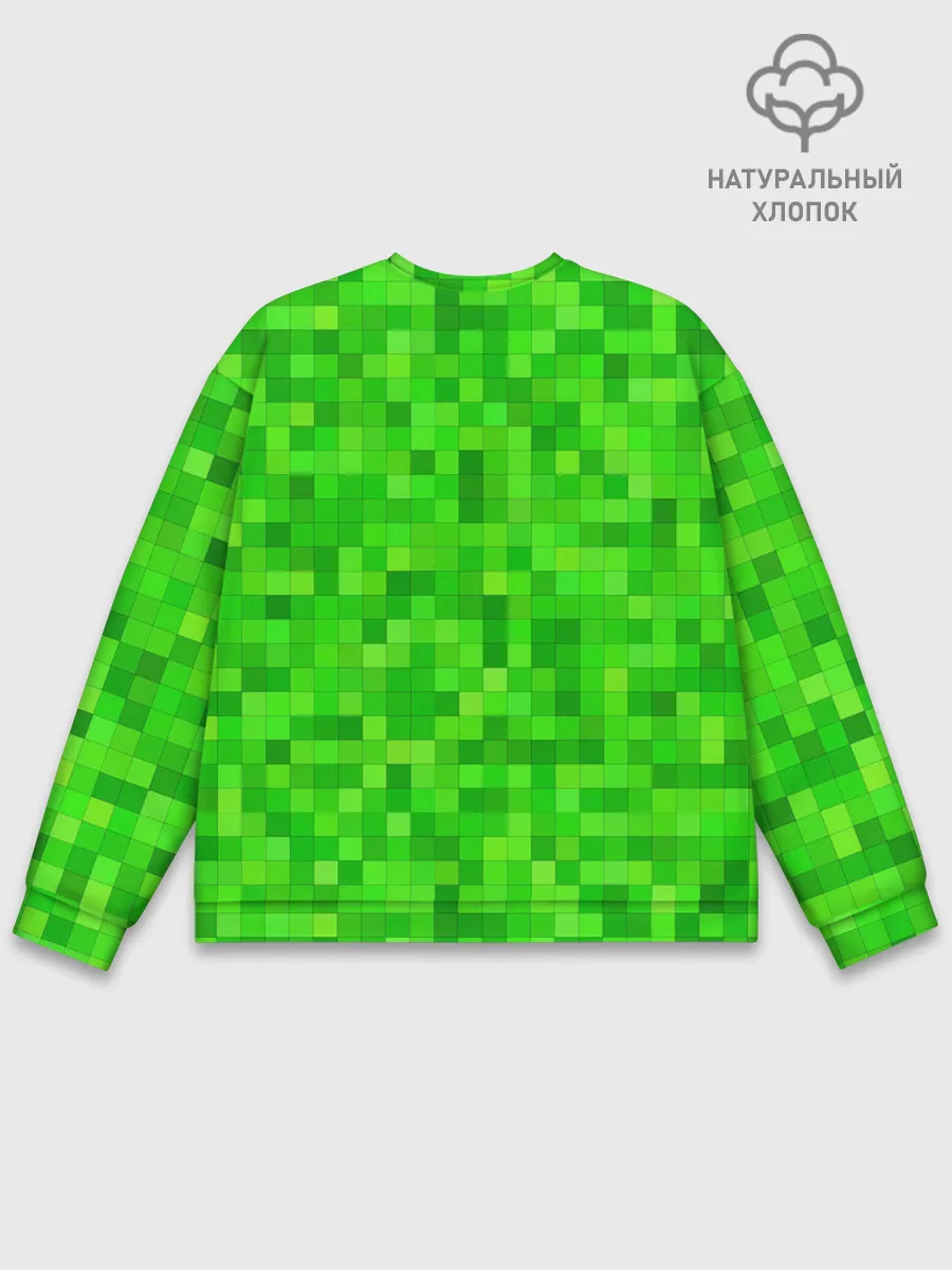 Мужской свитшот базовый / MINECRAFT