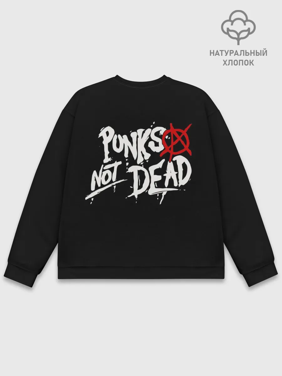 Мужской свитшот базовый / The Exploited