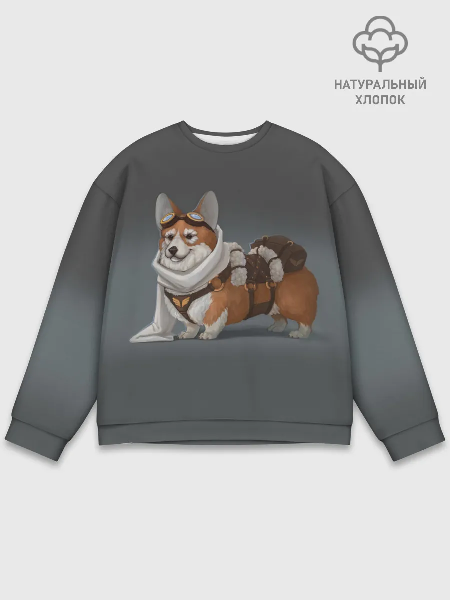 Мужской свитшот базовый / КОРГИ ПИЛОТ