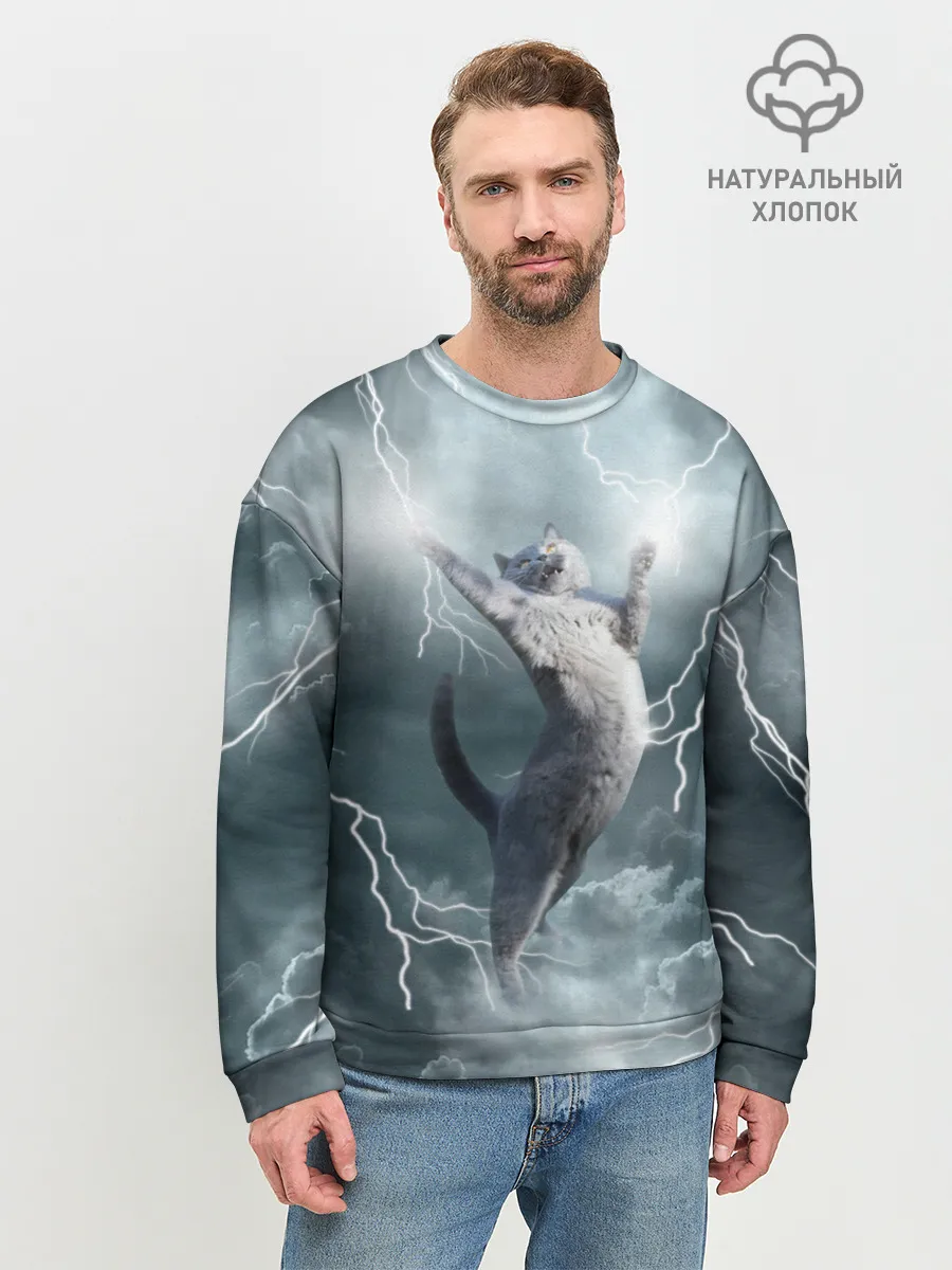 Мужской свитшот базовый / Грозовой кошак.