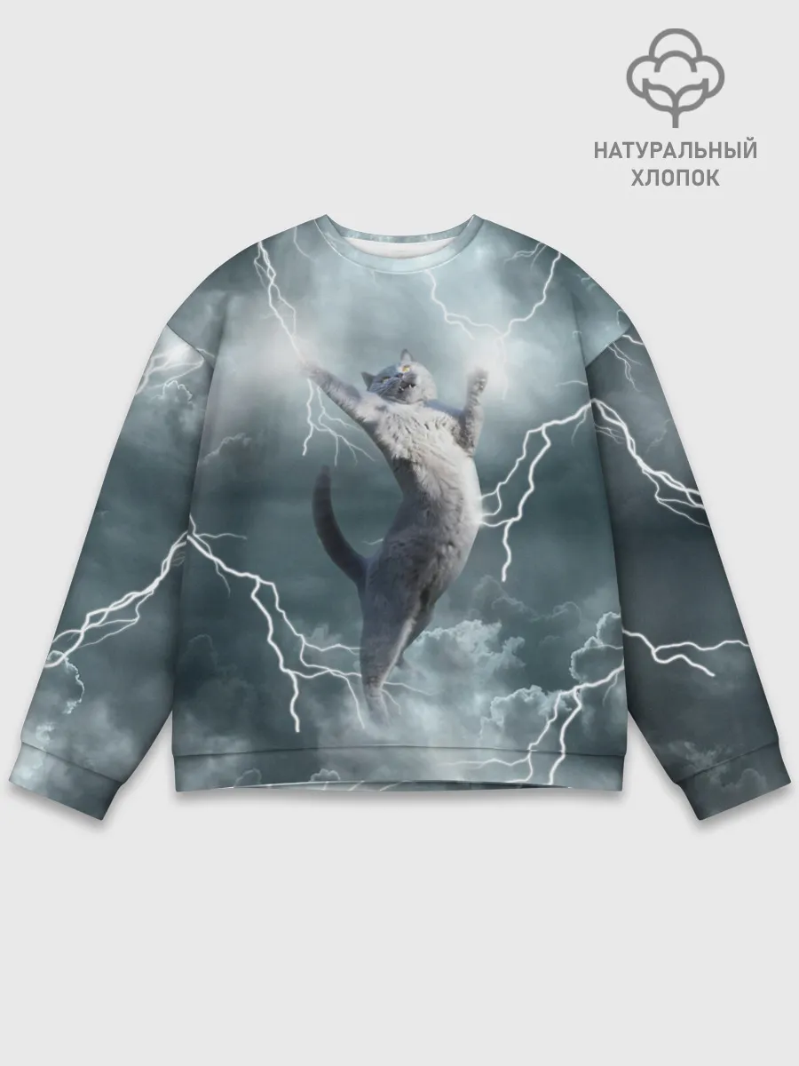 Мужской свитшот базовый / Грозовой кошак.