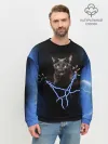 Мужской свитшот базовый / Грозовой кошак