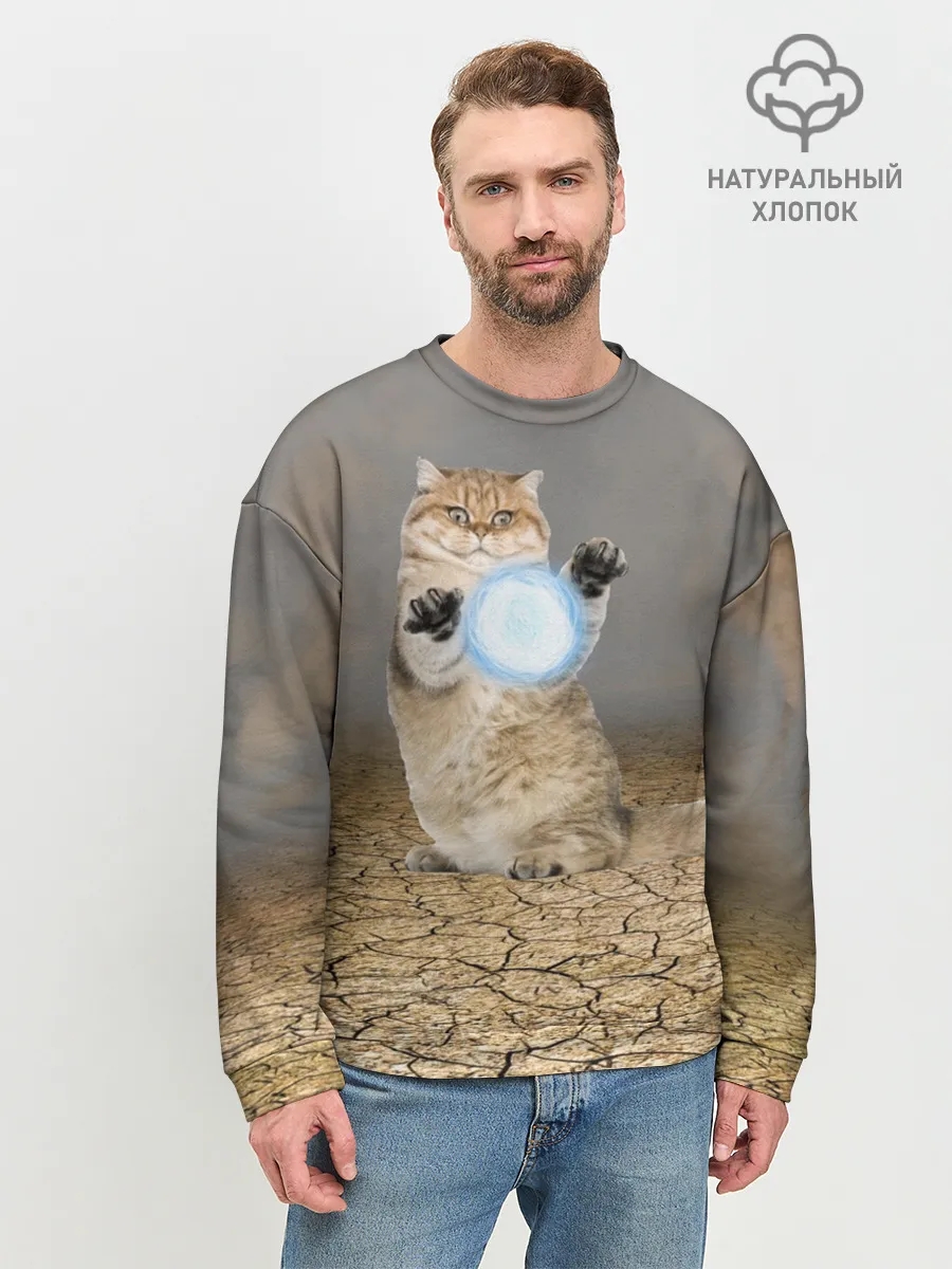 Мужской свитшот базовый / Земляной кошак с расенганом