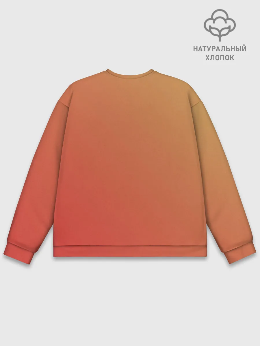 Мужской свитшот базовый / Artik & Asti