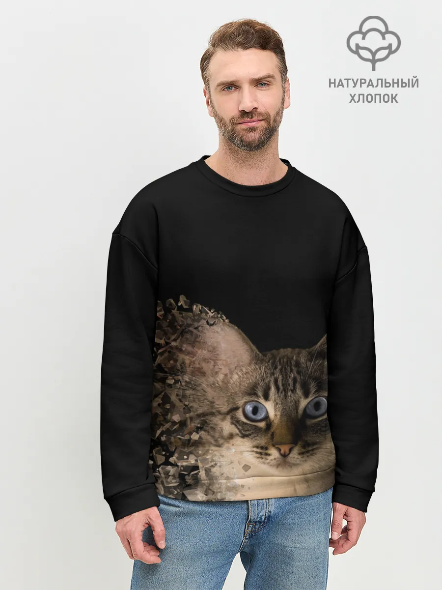 Мужской свитшот базовый / Disintegrating Cat