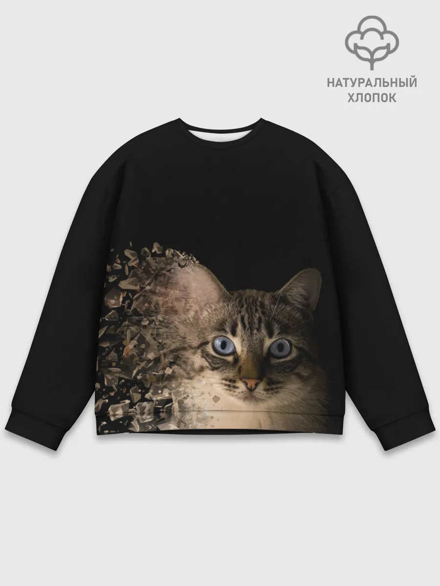 Мужской свитшот базовый / Disintegrating Cat