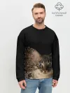 Мужской свитшот базовый / Disintegrating Cat