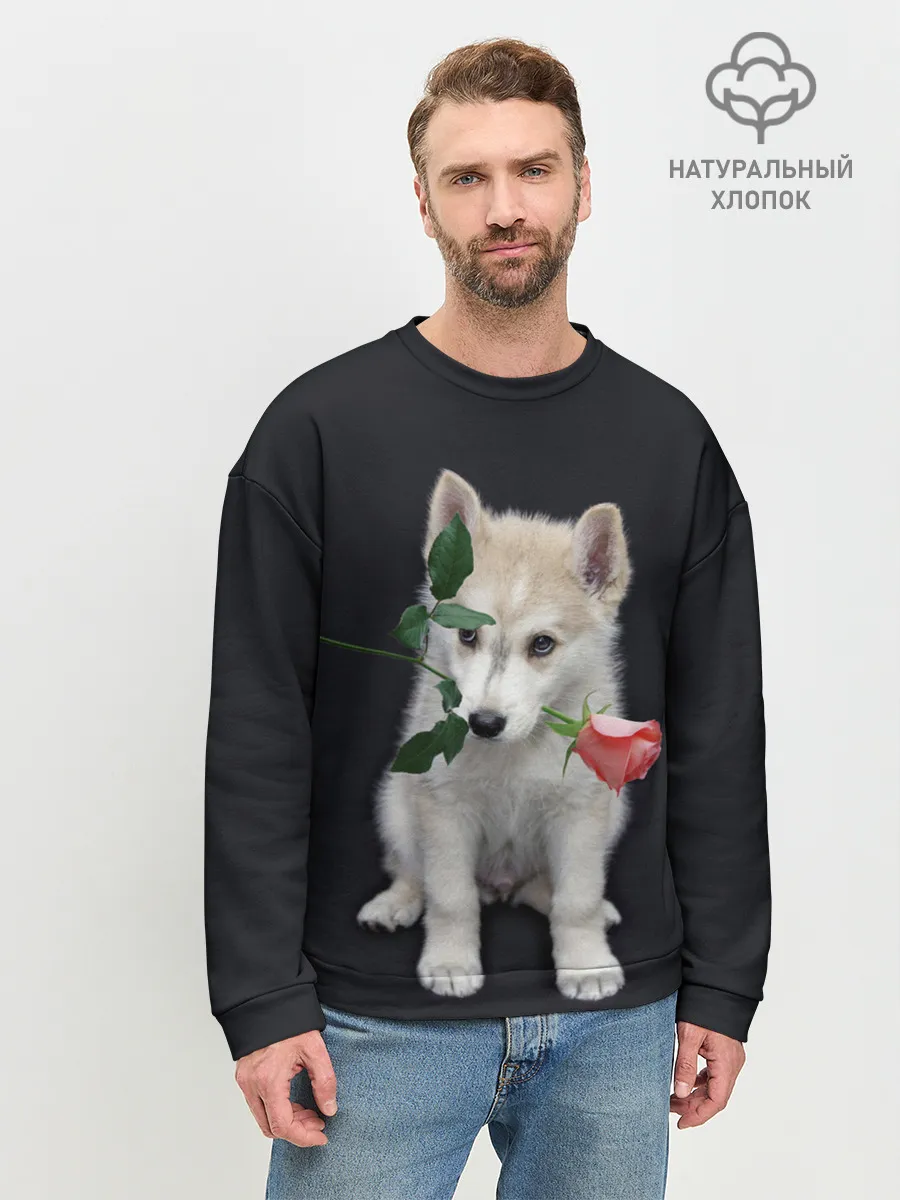 Мужской свитшот базовый / Щенок в подарок