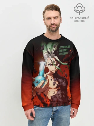 Мужской свитшот базовый / Доктор Стоун