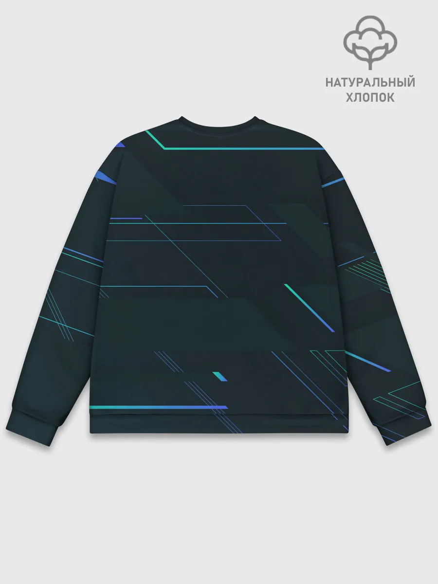 Мужской свитшот базовый / Modern Geometry