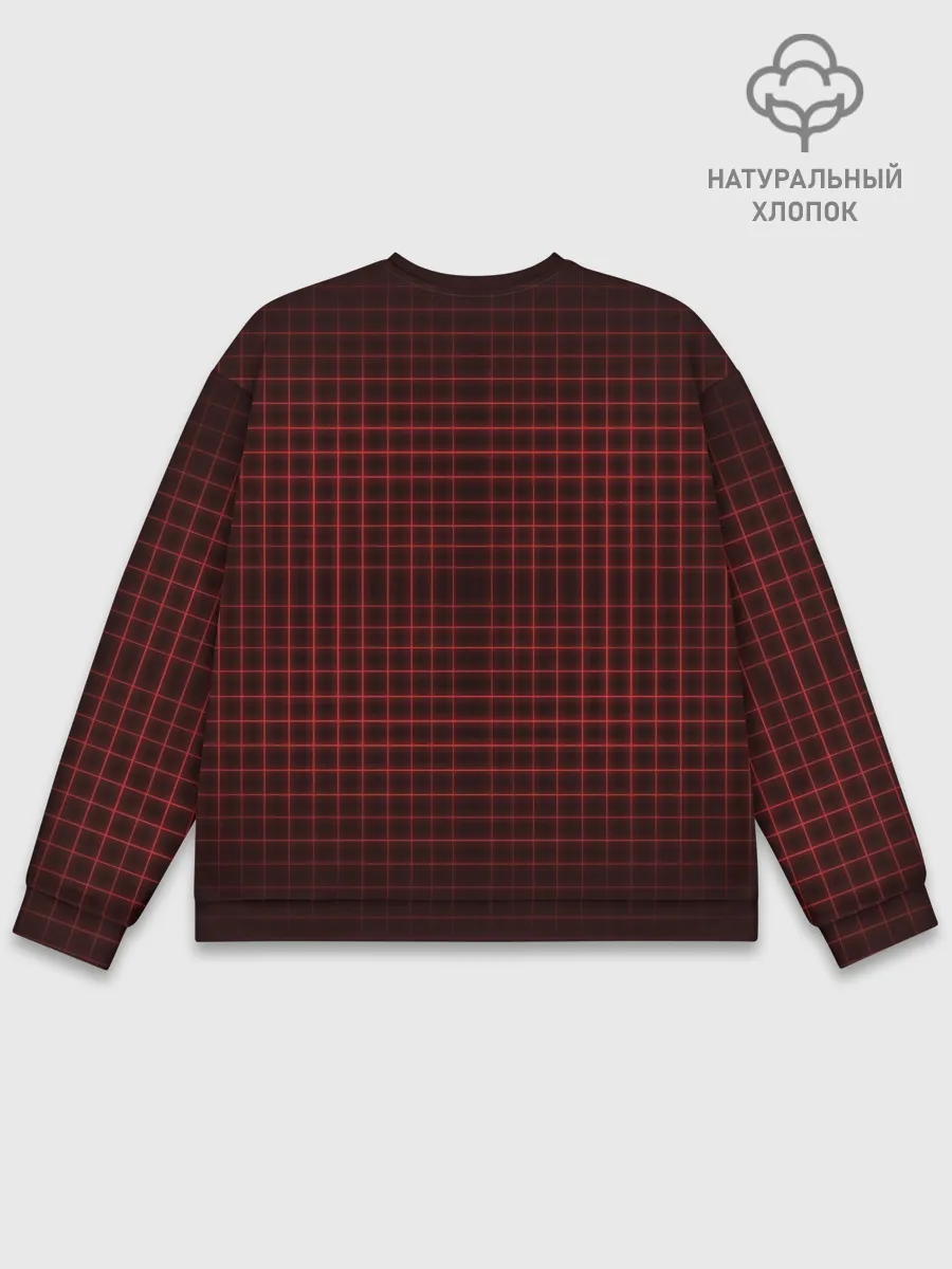 Мужской свитшот базовый / The Division 2