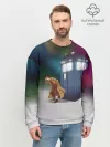 Мужской свитшот базовый / THE DOCTOR