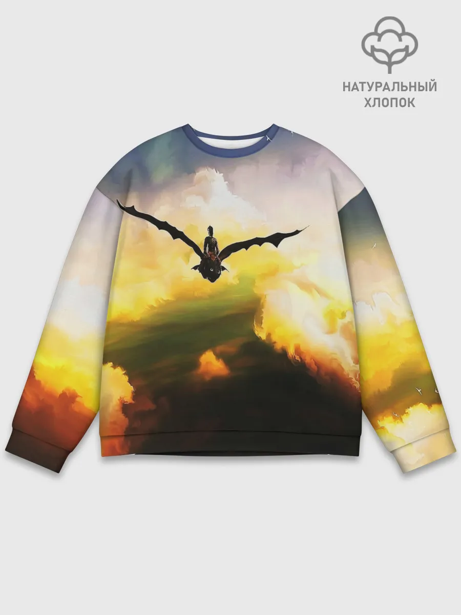 Мужской свитшот базовый / Как приручить дракона