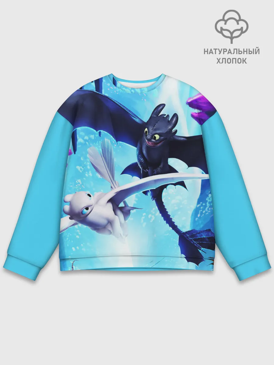 Мужской свитшот базовый / Как приручить дракона