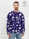 Мужской свитшот базовый / ЗВЕЗДОЧКИ