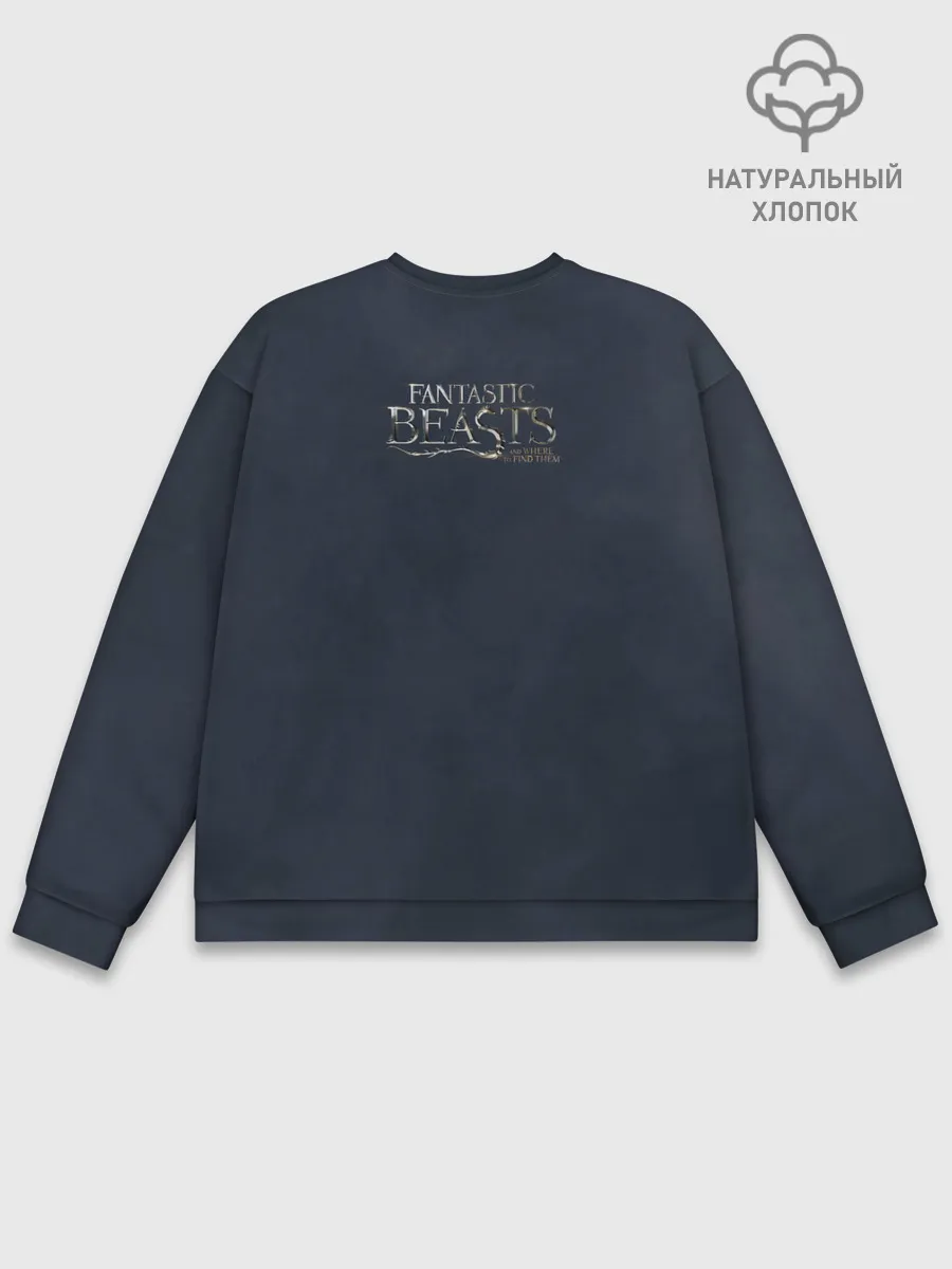 Мужской свитшот базовый / Accio