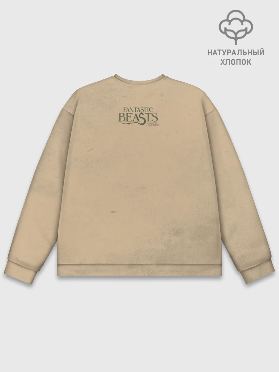 Мужской свитшот базовый / OBLIVIATE