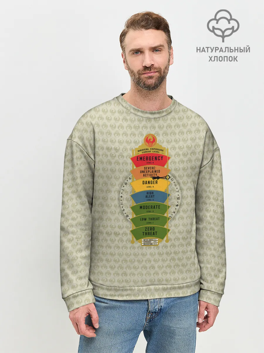 Мужской свитшот базовый / Magikal Exposure